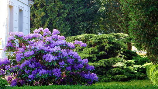 1124212 (a): :2560x1434